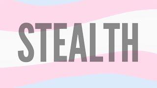 What is Stealth?  Trans Community