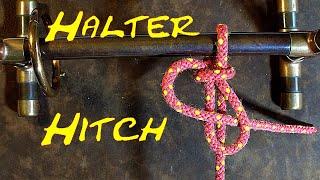 How to Tie the Halter Hitch