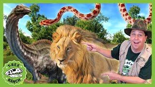 Dinosaur Adventure With Zoo Animals T-Rex Ranch Adventures for Kids