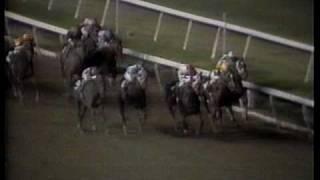 1988 Paterson Handicap - Cryptoclearance