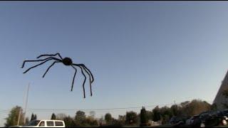 FLYING SPIDER PRANK - Tom Mabe Halloween Pranks