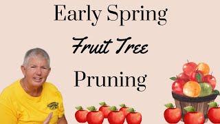 Early Spring Apple Tree Pruning  How to Prune Your Fruit Tree