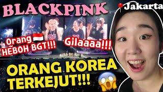 ORANG KOREA ‼️SHOCK BGT‼️PERTAMA KALI NGONSER DI JAKARTA JAUH BANGET NONTONNYA 블랙핑크 자카르타 콘서트