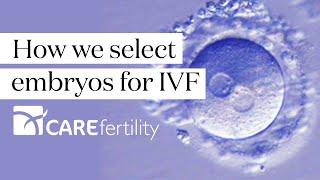 Embryo selection for IVF  CARE Fertility