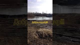 Прекрасное утро на полянке возле дома