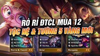 RÒ RỈ ĐẤU TRƯỜNG CHÂN LÝ MÙA 12 - HỖN LOẠN HUYỀN DIỆU CƠ CHẾ GAME TỘC HỆ VÀ 1 SỐ VỊ TƯỚNG MỚI