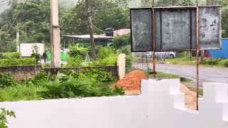 A Man Evacuated his home in Troy Trelawny due to taĺl trees surrounded  his home #beryl # storm