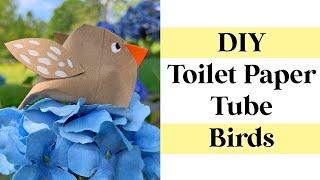 Use Toilet Paper Tubes to Make Gorgeous Birds Quick and Easy Craft - Make in 5 Minutes or Less