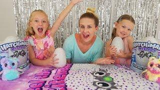 Opening Hatchimals Mystery Eggs Surprise Eggs Unboxing