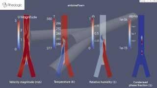 CFD simulation of condensing moisture