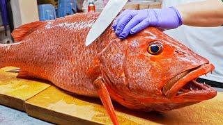 Sharp Teeth！Red Snapper Fish Cutting Skills Port Fish Auction Market  尖銳的牙齒！紅糟魚切割技巧 烤魚下巴 - 台灣美食