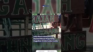 #shorts Serunya Safari Beach Jateng