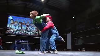 Super Mario Bros Wrestling