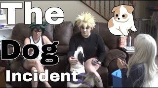 The Dog Incident I BNHA Cosplay