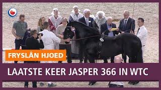 HENGSTENKEURING Huldiging voor Jasper 366