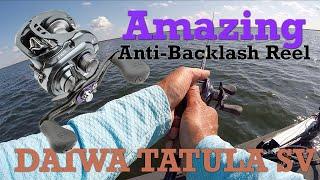 Amazing Anti-Backlash Baitcasting Reel Tatula SV-TW