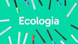 ECOLOGIA CADEIA ALIMENTAR BIOMAS E RELAÇÕES ECOLÓGICAS  QUER QUE DESENHE?