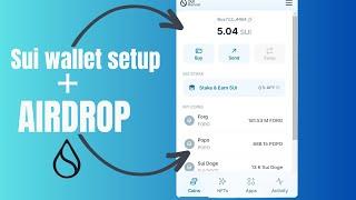 sui wallet airdrop - Create Sui wallet for upcoming Sui Airdrop