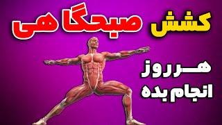 روتین کشش صبحگاهی  نرمش صبحگاهی  هر روز صبح انجام بده تا معجزه ببینی