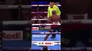 Boxing *HILARIOUS* Knockout   TheNoDollar #Shorts #Boxing #Knockout #Sports #Funny #FunnyMoments