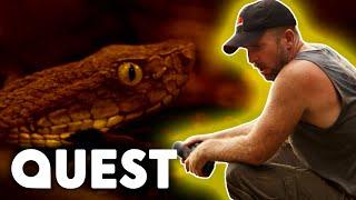 Deadly Snake Corners A Treasure Hunters Inside A Cave  Treasure Quest Snake Island