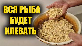 Прикормка для ловли всей крупной рыбы своими руками. Авторская прикормка для рыбалки видео рецепт