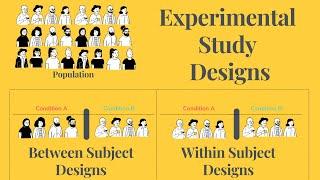 Experimental Study Designs - Between & Within Subjects Design and their Advantages & Disadvantages