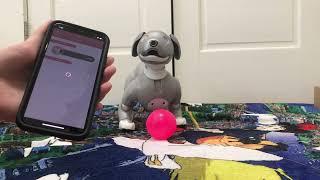 Setting Up a New Aibo ERS-1000
