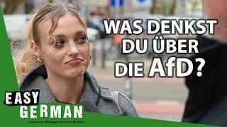 What Berliners Think of Germany’s Far Right Party AFD  Easy German 541