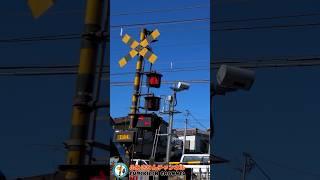 Railroad Crossing Train What Will Pass By Next?［Railroad Crossing short movie28］#shorts