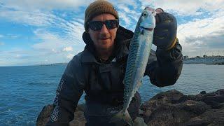 CASTING METAL LURES FOR MACKEREL  MACKEREL FISHING UK