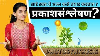 Photosynthesis म्हणजे काय ? । प्रकाश संश्लेषण म्हणज काय ? । वनस्पती स्वतःचे अन्न कसे तयार करतात ?