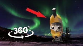 Banana Cat Finding Challenge But Its 360 degree video #1