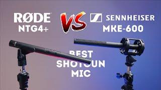 Rode NTG4+ VS Sennheiser MKE 600 shotgun microphone review and comparison  The best XLR shotgun mic