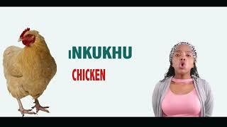 DOMESTIC ANIMAL NAMES IN ZULU