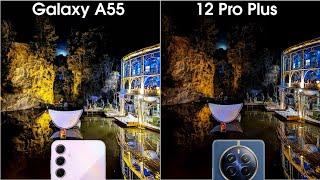 Samaung Galaxy A55 vs Realme 12 Pro Plus Camera Test