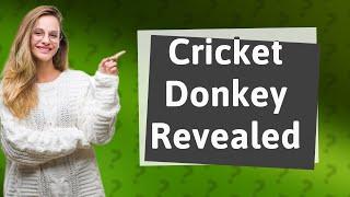 What is a donkey in cricket?