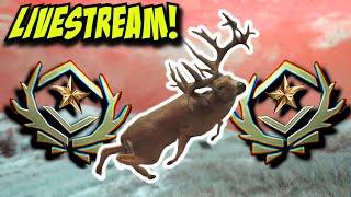 *LIVE* Shooting My GREAT ONE Whitetail Thehunter Call Of The Wild