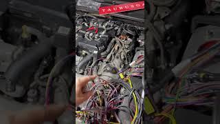 Газ на Lexus LS 460 2012 год 1UR-FSE Таурус Газ 0956316233 #гбо #гбокиев #ремонт #лексус #toyota