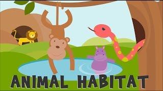 Animal Habitats  Animal Homes  Animals video for kids 