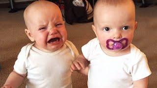 Twin Baby Girls Fight Over Pacifier  Cutest Babies  KYOOT