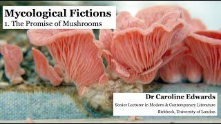 MYCOLOGICAL FICTIONS PART 1