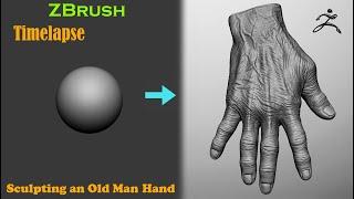 Sculpting an old man hand   ZBrush  Timelapse  Sculpting  Speed Sculpt 