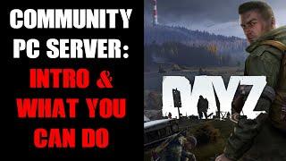 2024 DayZ PC Community Server Modding Beginners Guide - Intro & Why You Want One & What You Can Do