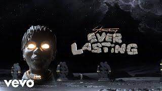 Stonebwoy - Ever Lasting Official Video