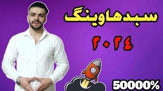 سبد هاوینگ ارزدیجیتال ۲۰۲۴با این سبد سرمایت ۵۰ برابر میشه