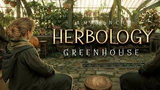 ₊˚ Herbology Greenhouse ⊹ Hogwarts Ambience & Soft Music ⊹ Nature Sounds