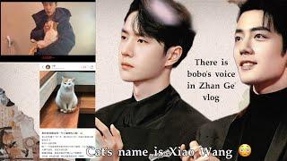 The Cat when Zhan Ge hug have name’s Xiao Wang  #yizhan #bjyx #wangyibo #xaiozhan