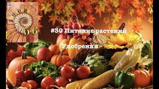 Биология 6 класс Пасечник аудио Параграф 30 “Питание растений. Удобрения”