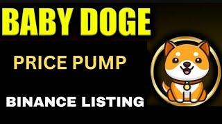 Baby Dogecoin News Today  Partnership  BabyDoge Coin Price Pump  Binance Listing